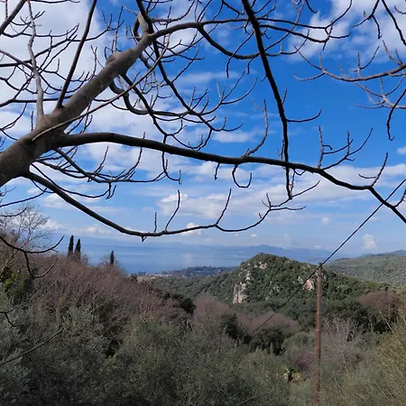 Zelis In Pelion Greece