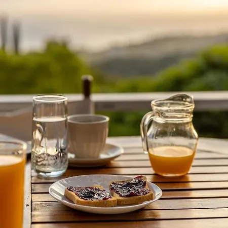 Apartment Zelis In Pelion Greece *