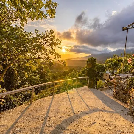 Zelis In Pelion Greece *