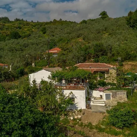 Apartment Zelis In Pelion Greece *