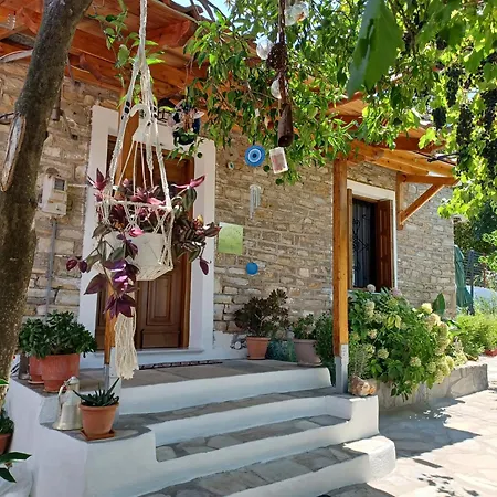 Zelis In Pelion Greece