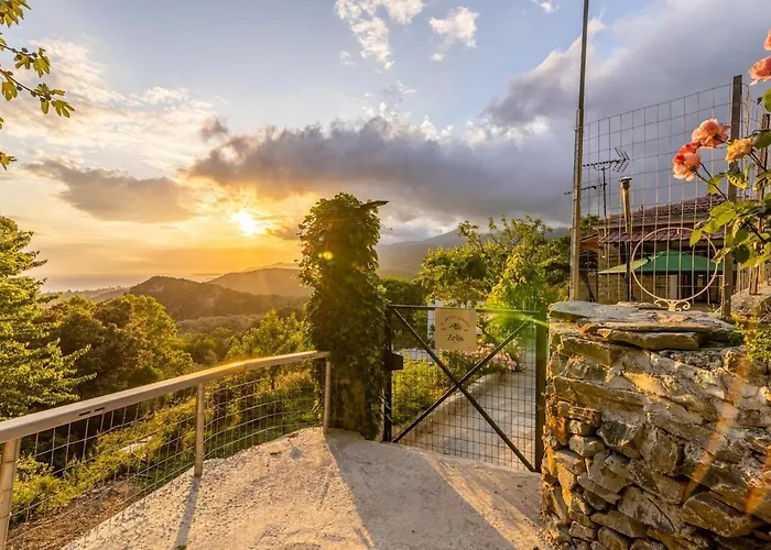 Zelis In Pelion Greece