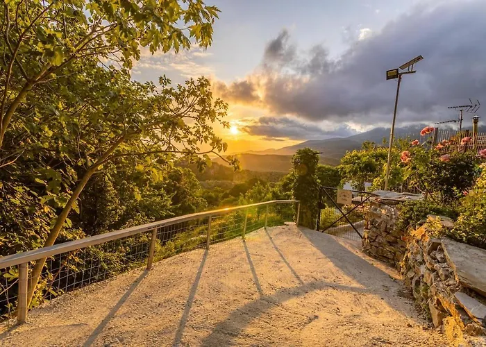 Zelis In Pelion Greece *