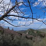Zelis In Pelion Greece
