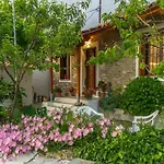 Zelis In Pelion Greece * אפיסוס