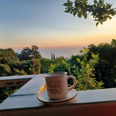 Zelis In Pelion Greece Apartmán *