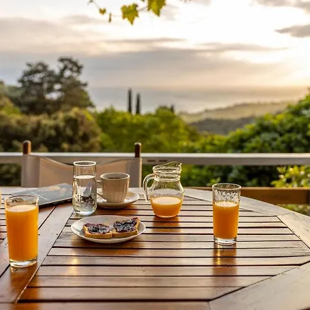 Zelis In Pelion Greece *