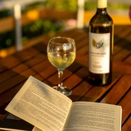 Zelis In Pelion Greece Апартаменты *