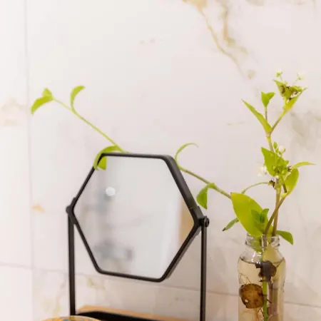 Zelis In Pelion Greece *