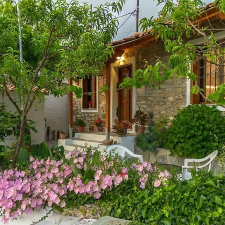 Zelis In Pelion Greece * Afissos