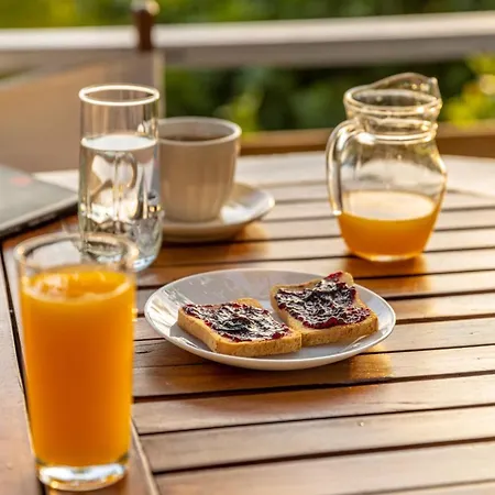 Zelis In Pelion Greece Апартаменты Афиссос