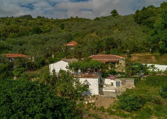 Apartament Zelis In Pelion Greece *